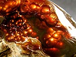 agate_opal25_2.jpg (42650 oCg)