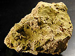 carnotite1.jpg (68956 バイト)