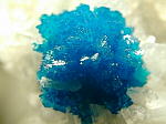 cavansite3.jpg (33526 oCg)