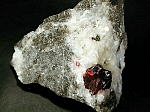 cinnabar5.jpg (35700 oCg)