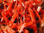crocoite7.jpg (84085 バイト)