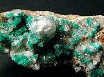 dioptase1.jpg (48175 oCg)