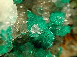 dioptase3.jpg (45408 oCg)