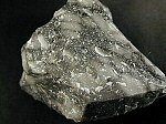 fusulina_limestone.jpg (42379 oCg)