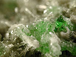 grossular23_2.jpg (36118 バイト)
