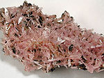 inesite1.jpg (55147 バイト)