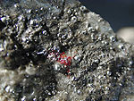 mercury2.jpg (67174 バイト)