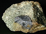 molybdenite4.jpg (53455 oCg)
