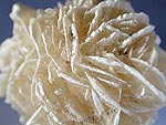 sand_rose1.jpg (45666 バイト)
