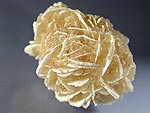 sand_rose2.jpg (38268 バイト)