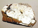 zinnwaldite1.JPG (41041 oCg)